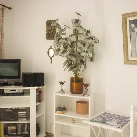 San Marcos Residencial Apartment